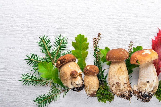 Funghi Porcini. Funghi di bosco su fondo di legno bianco. Vista dall'alto. Spazio libero per il testo.