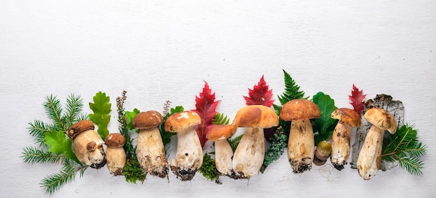 Funghi porcini Funghi di bosco su fondo di legno bianco Vista dall'alto Spazio libero per il testo
