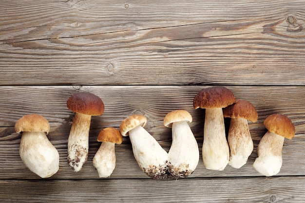 Funghi porcini su fondo di legno. Funghi d'autunno. Cibo gourmet