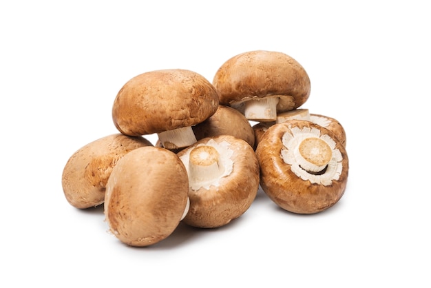 Funghi saporiti isolati