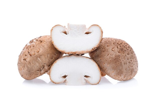 Funghi Shiitake isolati su sfondo bianco