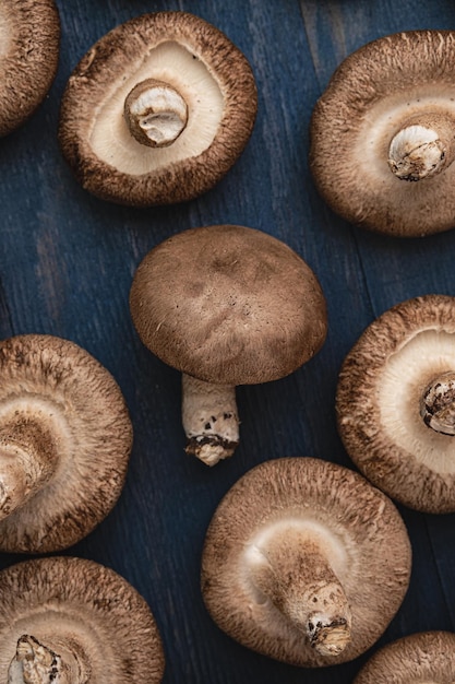 Funghi shiitake