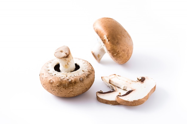 Funghi su bianco