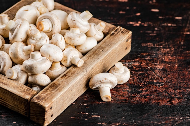 Funghi su un vassoio di legno