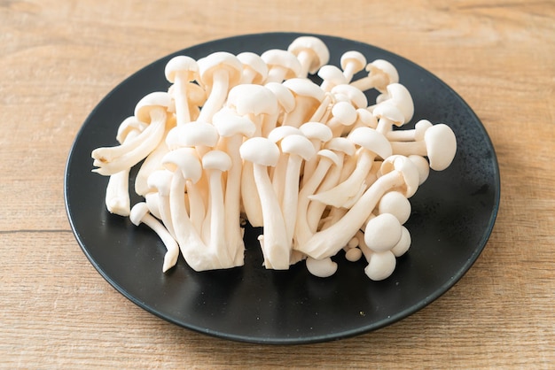 Fungo bianco fresco del faggio o fungo reishi bianco sul piatto