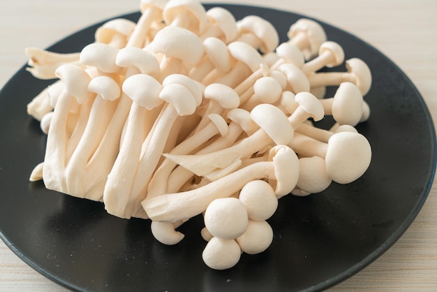 fungo bianco fresco di faggio o fungo reishi bianco su piatto