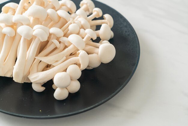 fungo di faggio bianco fresco o fungo reishi bianco sul piatto