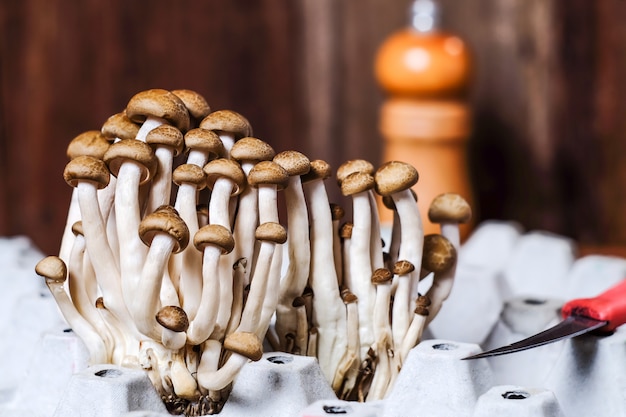 Fungo di shimeji marrone fresco o fungo del faggio sulla scatola delle uova nel fondo di legno.