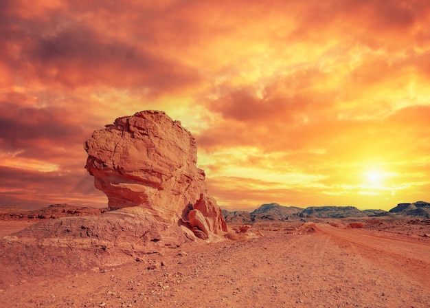 Fungo e mezzo del deserto della montagna rocciosa nel parco di Timna Israele