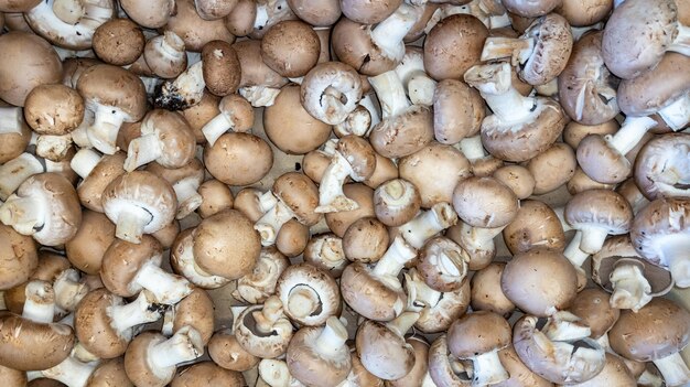 Fungo fresco marrone champignon rotondo nel mercato per sfondo naturale