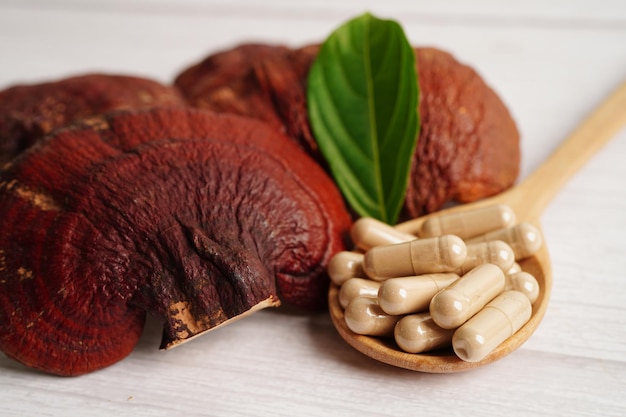 Fungo Lingzhi o Reishi con capsule cibo sano naturale biologico