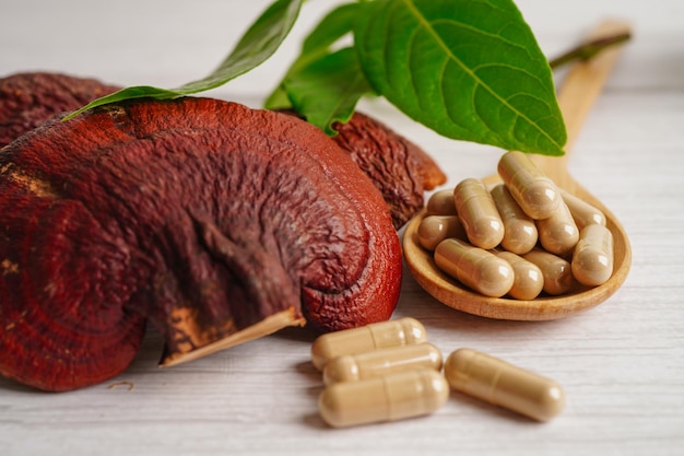 Fungo Lingzhi o Reishi con capsule cibo sano naturale biologico