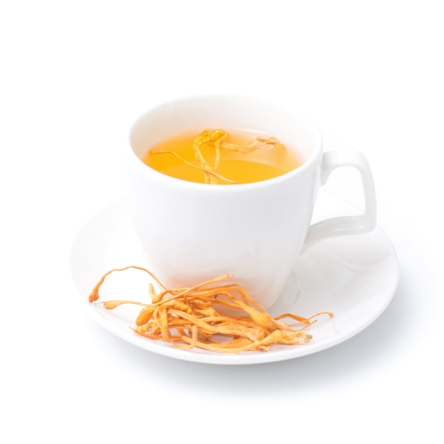 Fungo secco di Militaris di Cordyceps con la tazza isolata su fondo bianco