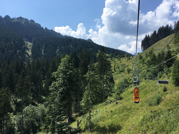 Funivia aerea tra gli alberi contro il cielo