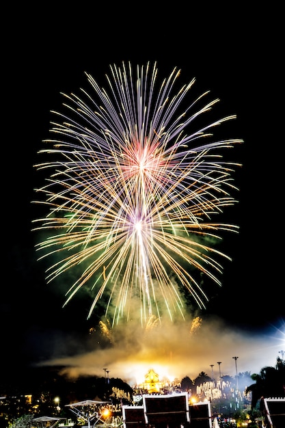 Fuochi d&#39;artificio a Capodanno