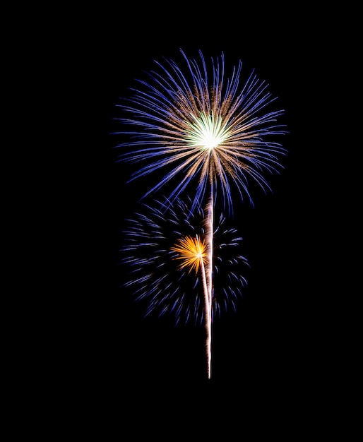 Fuochi d'artificio blu che esplodono nel cielo notturno