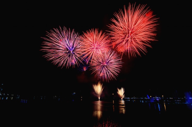 Fuochi d&#39;artificio colorati contro un cielo notturno nero