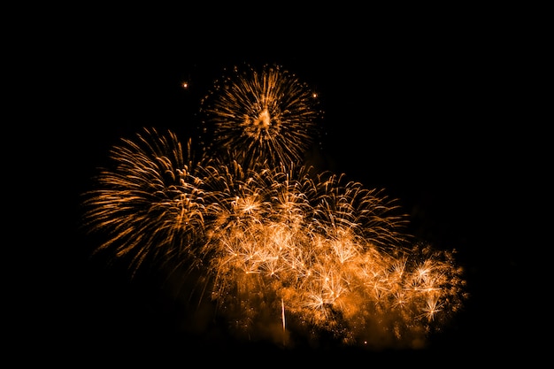 Fuochi d&#39;artificio colorati di notte