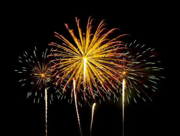 Fuochi d'artificio colorati di vari colori nel cielo notturno - Effetto di colore vibrante