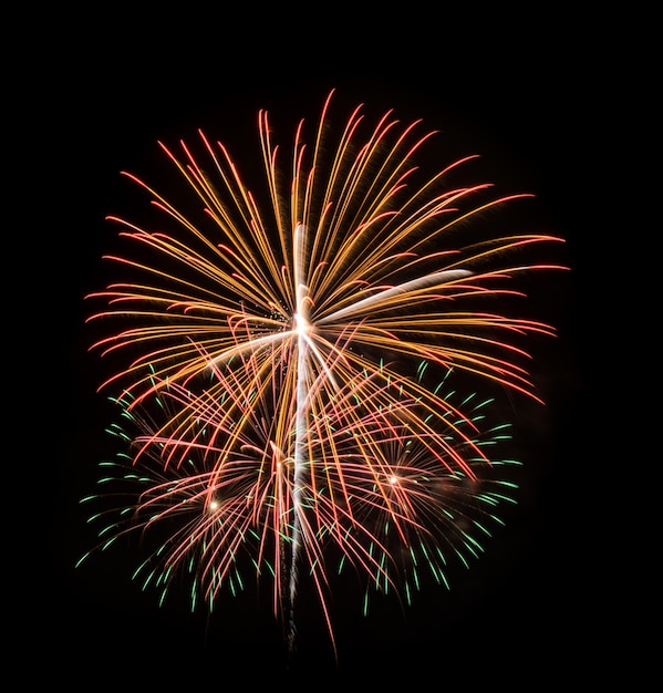 Fuochi d'artificio colorati nel cielo nero