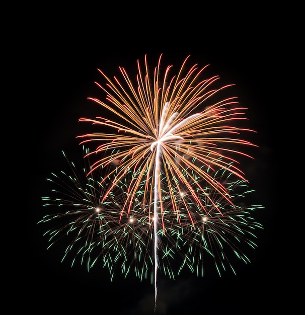 Fuochi d'artificio colorati nel cielo nero