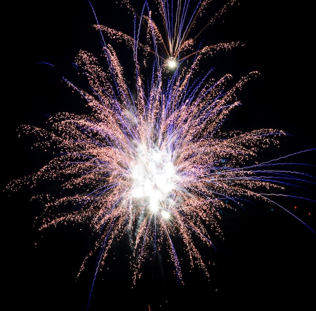 Fuochi d'artificio colorati nel cielo notturno