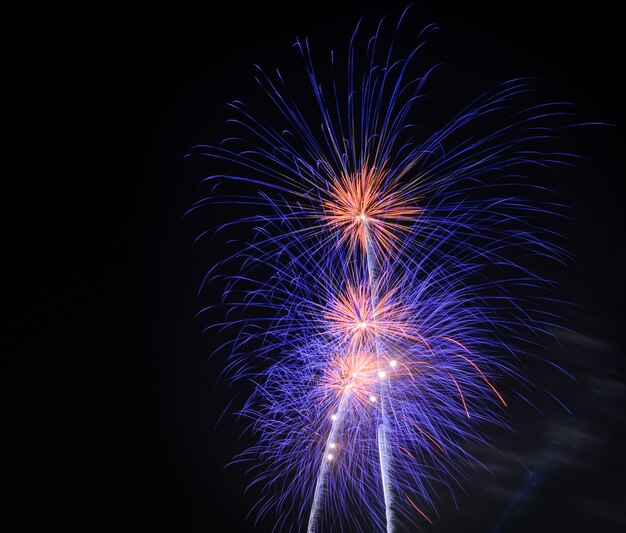 Fuochi d'artificio colorati nel cielo notturno