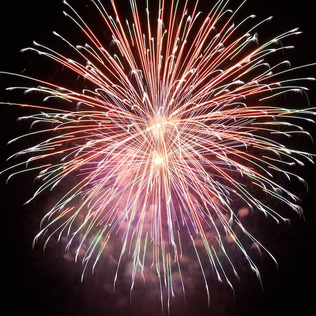 Fuochi d'artificio colorati rossi e viola di festa sul cielo nero