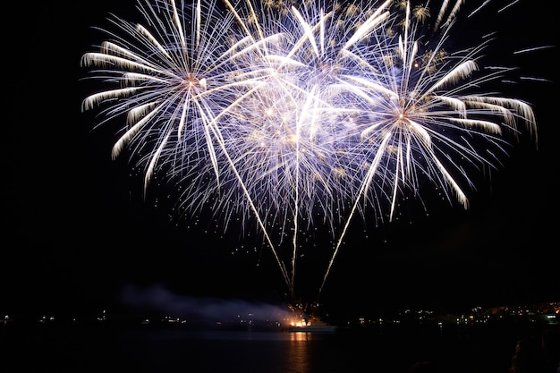 Fuochi d'artificio colorati rossi e viola di festa sul cielo nero.