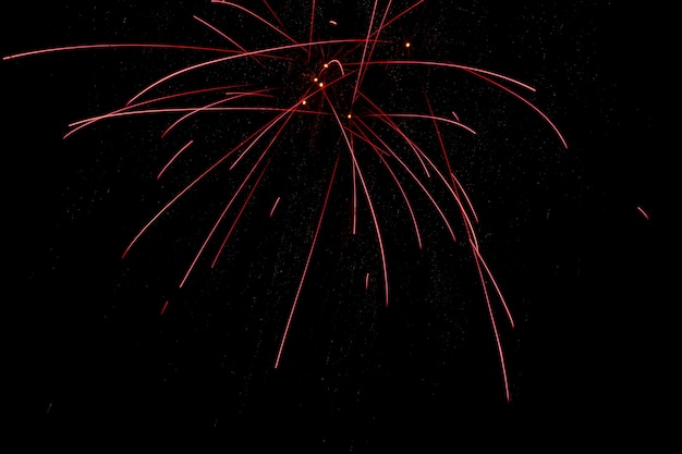 Fuochi d'artificio colorati sono esplosi nel cielo notturno