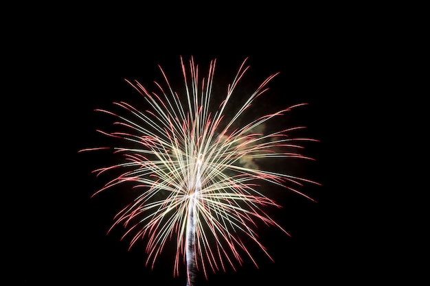 Fuochi d&#39;artificio colorati sopra il cielo scuro