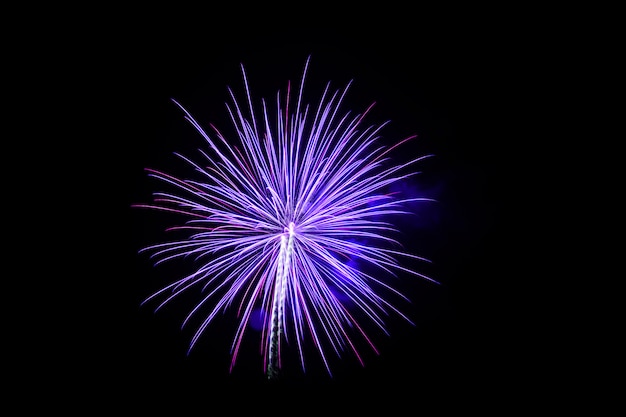 Fuochi d&#39;artificio colorati sopra il cielo scuro