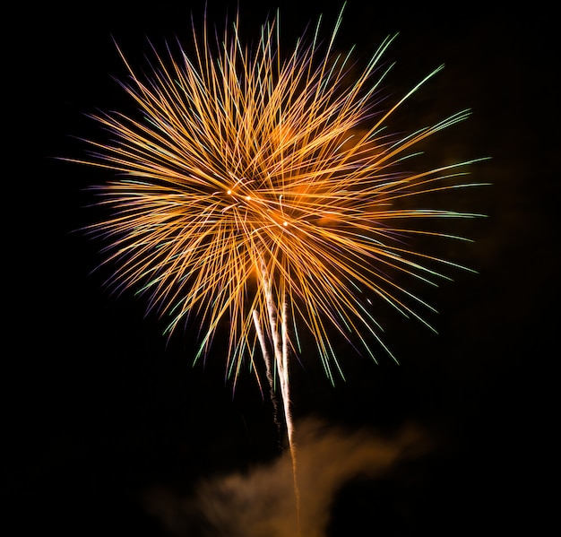 Fuochi d&#39;artificio colorati su fondo nero