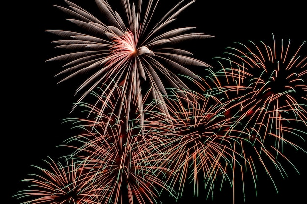 Fuochi d'artificio colorati su uno sfondo di cielo notturno.