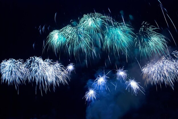 Fuochi d&#39;artificio colorati sullo sfondo del cielo nero