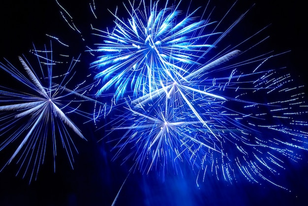 Fuochi d'artificio colorati sullo sfondo del cielo nero