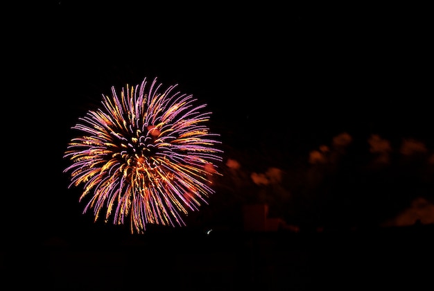 Fuochi d&#39;artificio dai colori vivaci