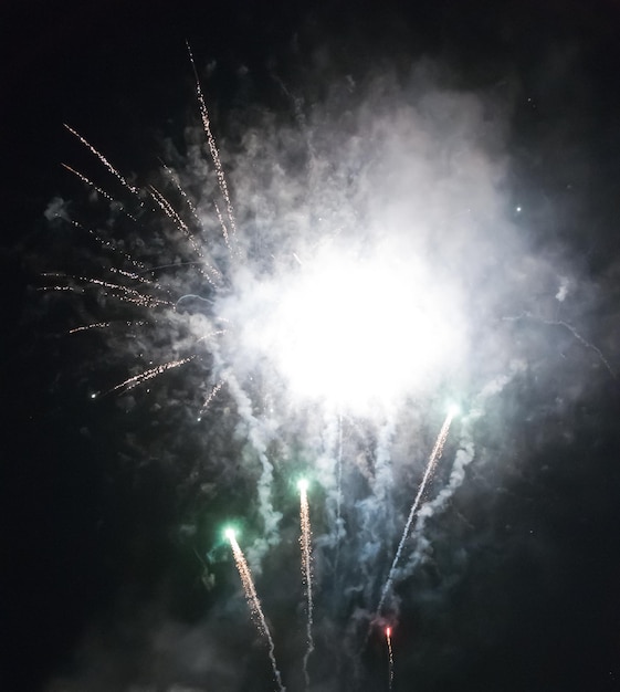 Fuochi d'artificio luminosi di notte