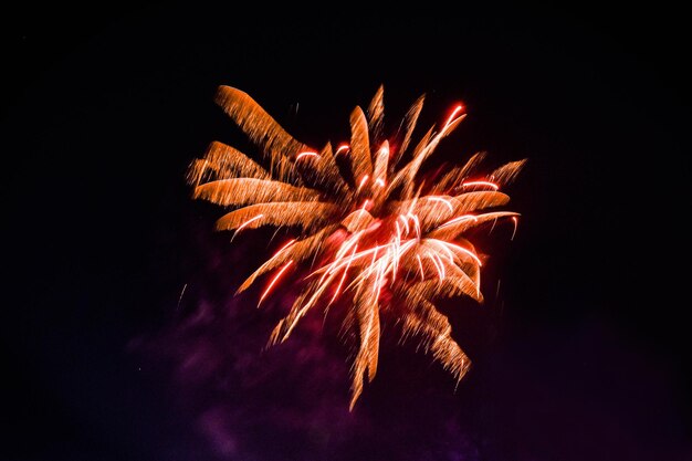 Fuochi d'artificio multicolore sul cielo notturno scuro