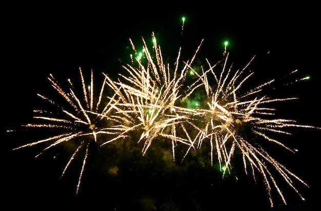 Fuochi d'artificio multicolori su uno sfondo di cielo notturno.