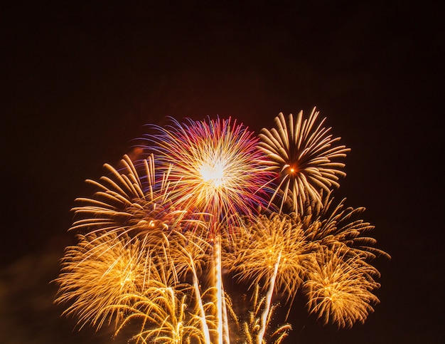 Fuochi d&#39;artificio nel cielo a Suan Luang Rama 9 Tailandia.