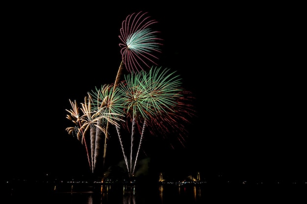 fuochi d'artificio nel cielo scuro al festival notturno