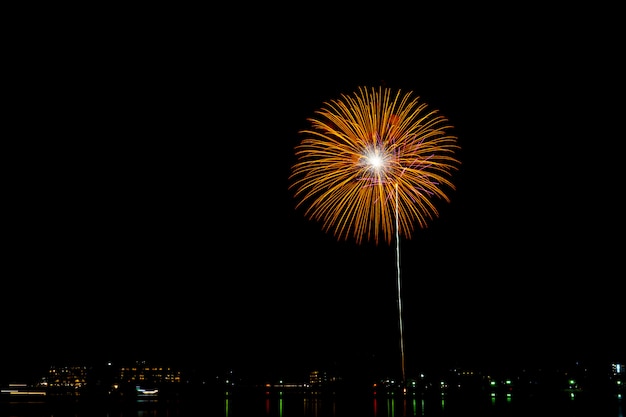 Fuochi d'artificio nella notte.