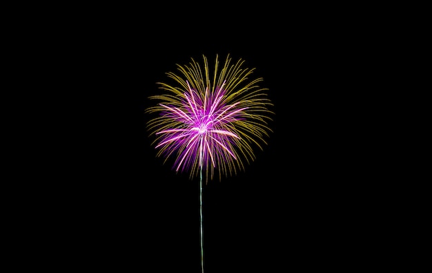 Fuochi d'artificio nella notte.