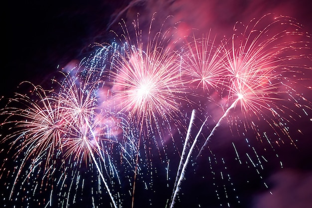 Fuochi d'artificio, saluto con lo sfondo del cielo nero