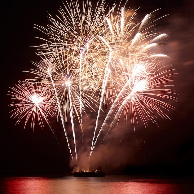 Fuochi d'artificio, saluto con lo sfondo del cielo nero