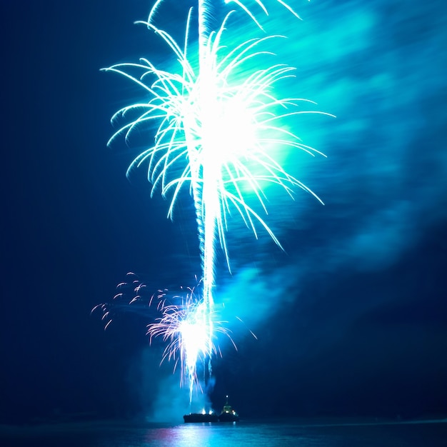 Fuochi d'artificio, saluto con lo sfondo del cielo nero