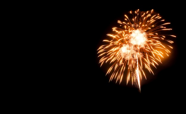 Fuochi d'artificio su nero