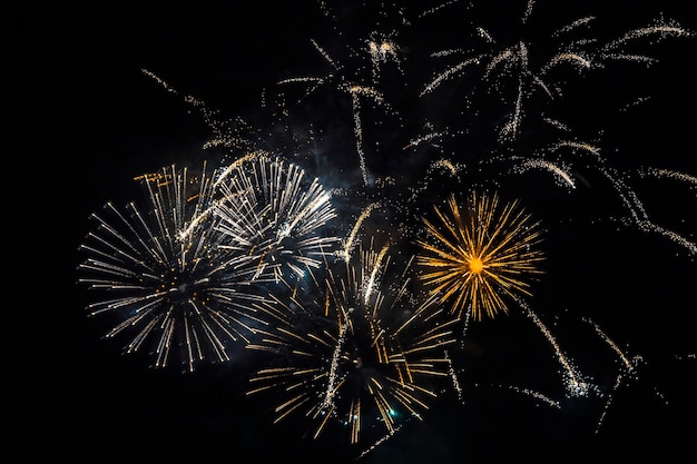 Fuochi d'artificio su sfondo nero. Foto