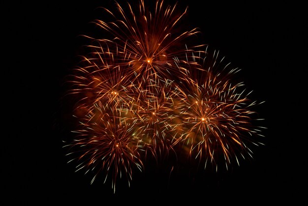 Fuochi d'artificio sul cielo nero